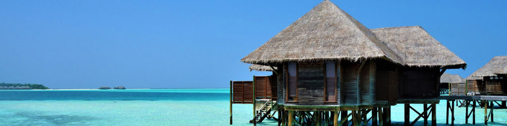 Sky Access Travel | ツアー